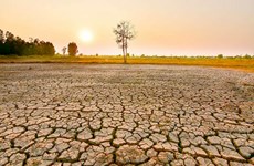 Thailand to see less rainfall into next year due to El Nino