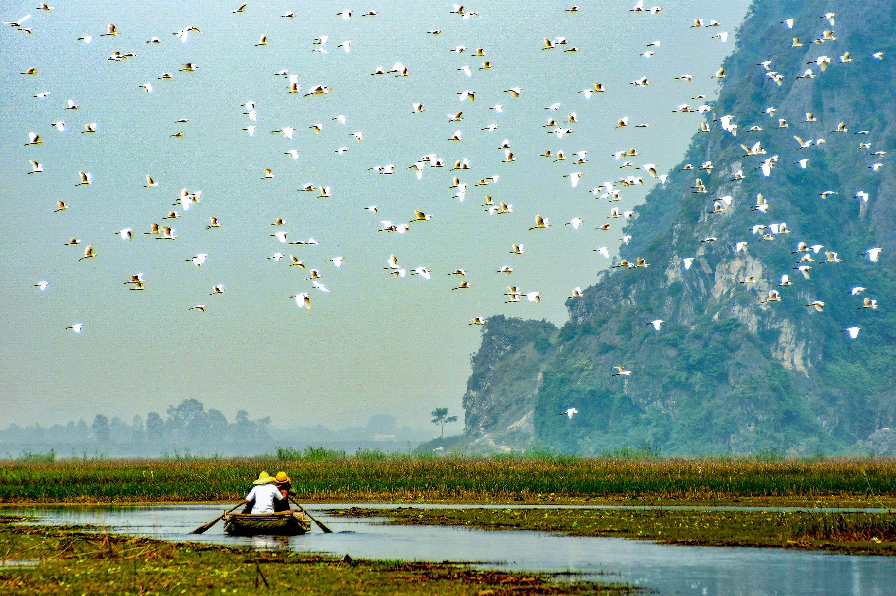 Promote payment mechanism for natural ecosystem services in Viet Nam
