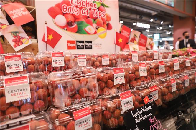 Vietnamese lychees enter Thai supermarket chain