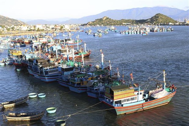 Ninh Thuan reports 7 4 increase in seafood catch in H1