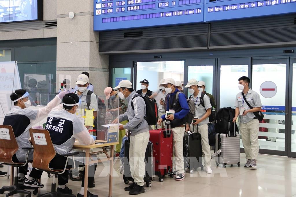 RoK in need of Vietnamese shipbuilding workers