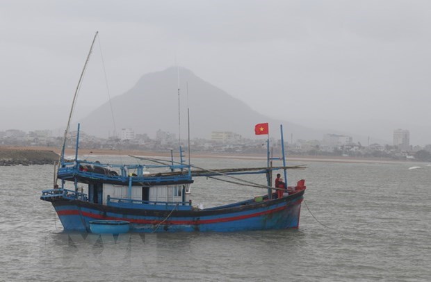 Binh Thuan ramps up efforts against IUU fishing