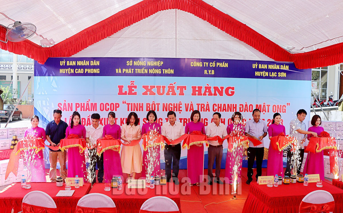Hoa Binh exports first batch of turmeric starch, pink lemon in honey to UK