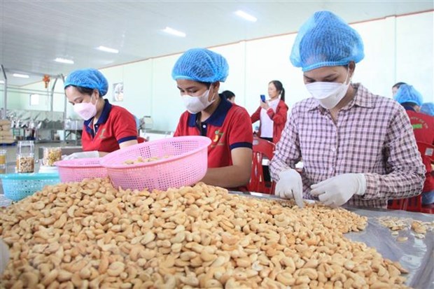 Ample room remains for Vietnam-Iran cooperation