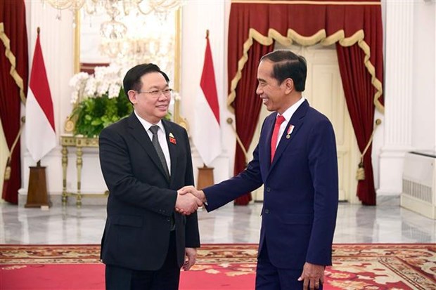 Vietnam treasures strategic partnership with Indonesia NA Chairman