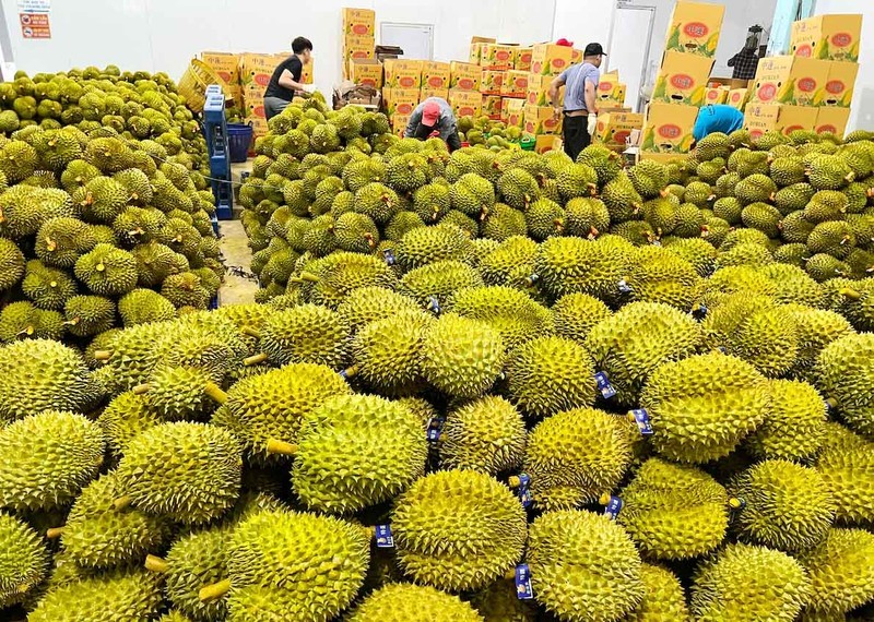 Fruit and vegetable exports to bring in USD2 5-2 7 billion