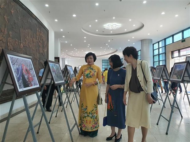 Vietnam-Japan festival imbued with cultural exchange, friendship