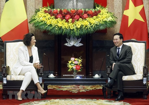 Vietnam keen on further promoting ties with Belgium President