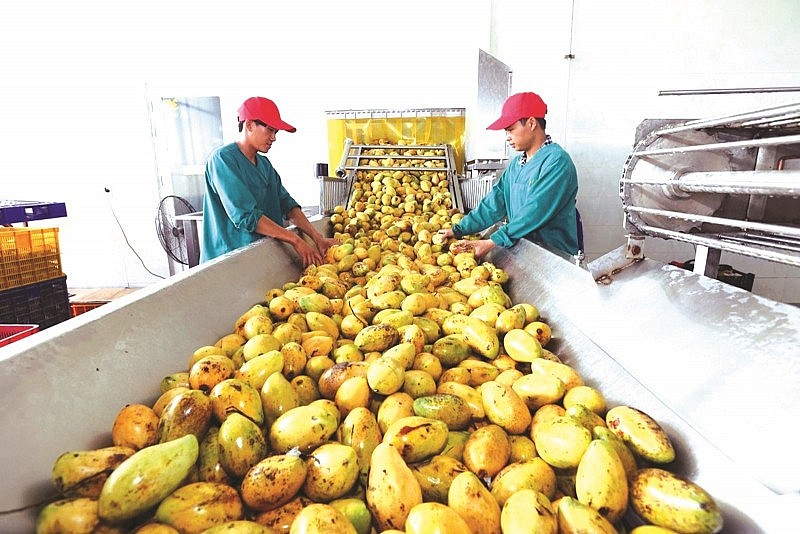 Vietnam-China trade reaches USD90 billion