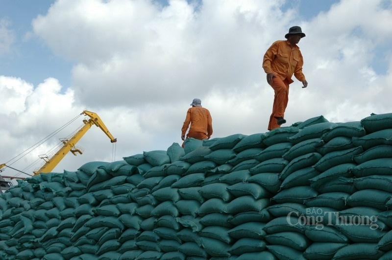 Rice exports increase by 36 1