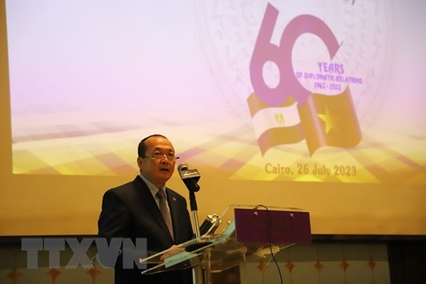 Vietnam, Egypt share fruitful six-decade ties Ambassador