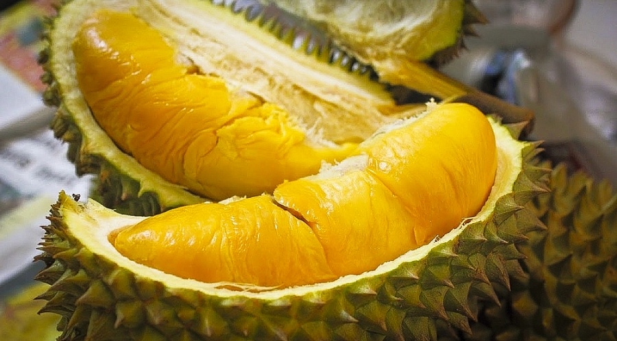 Durian exports expected to earn USD2 - 2 5 billion next year