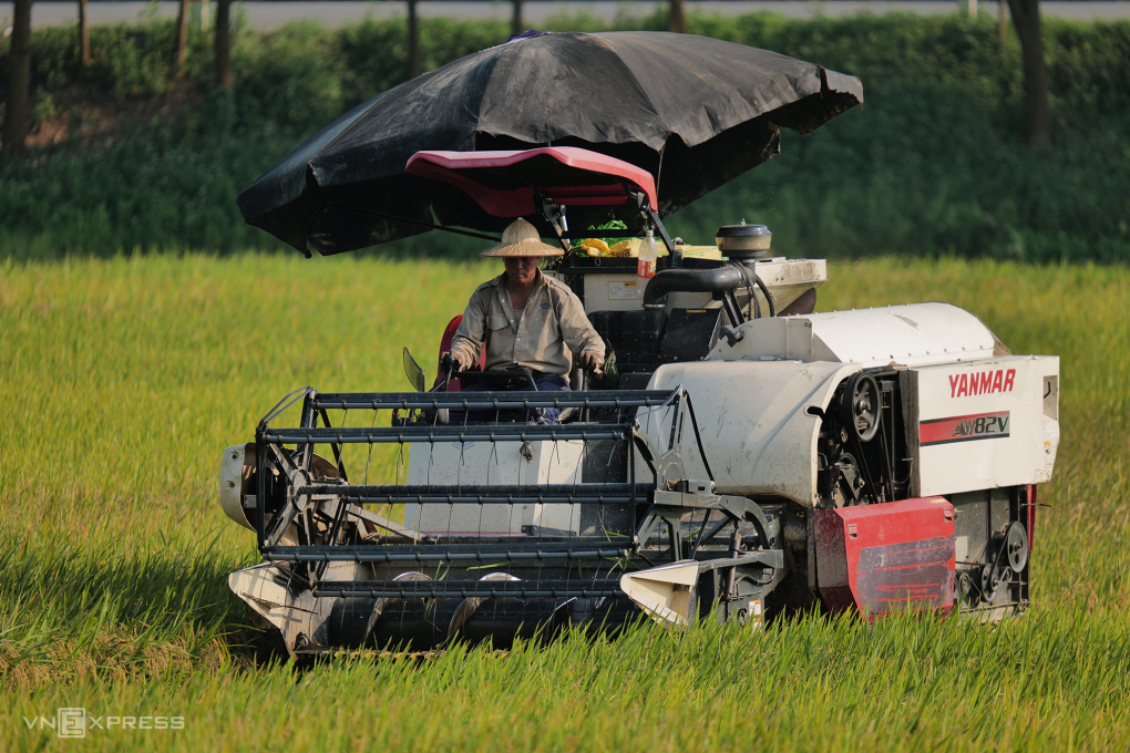 Rice exports in 8 months reach record turnover