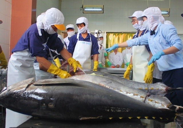 Vietnam s tuna exports to UK increase