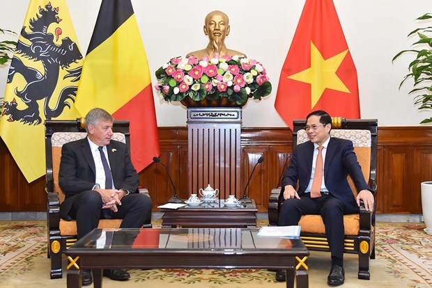 Foreign Minister receives leader of Belgium s Flanders region