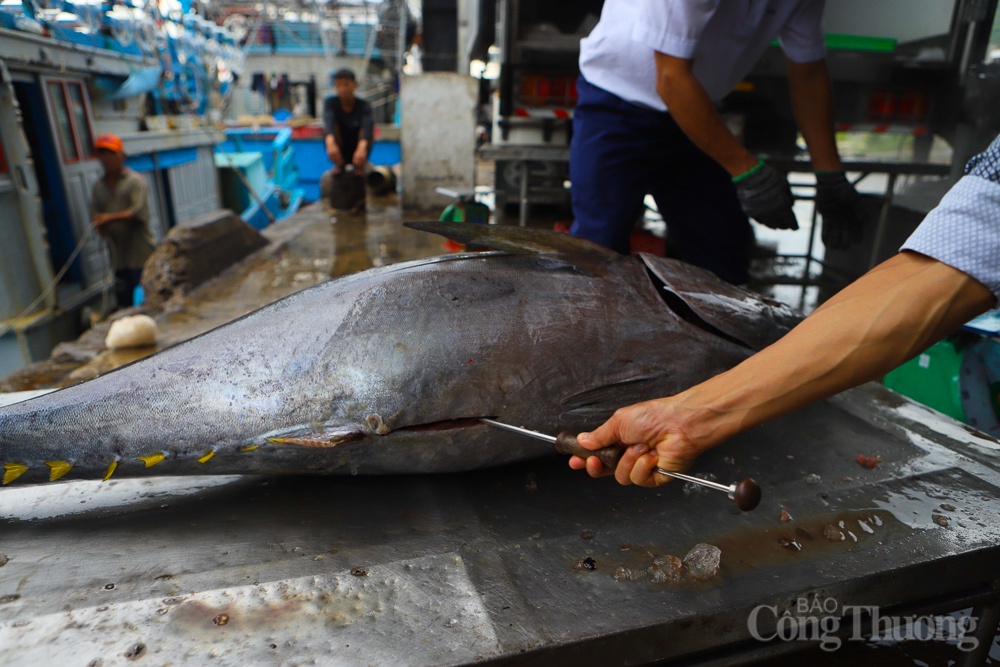 Khanh Hoa’s exports to Japan valued at 111 million USD