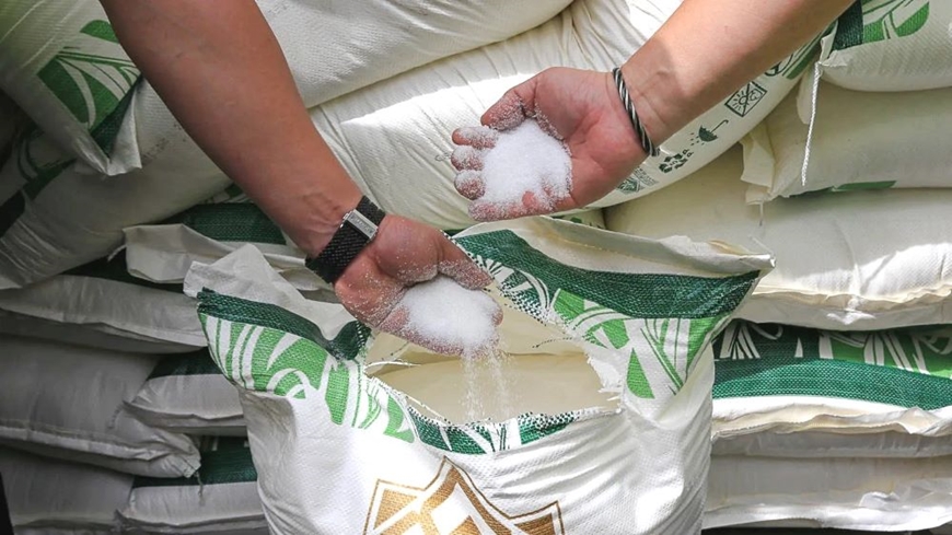 Nearly 120,000 tons of sugar to be imported through auction