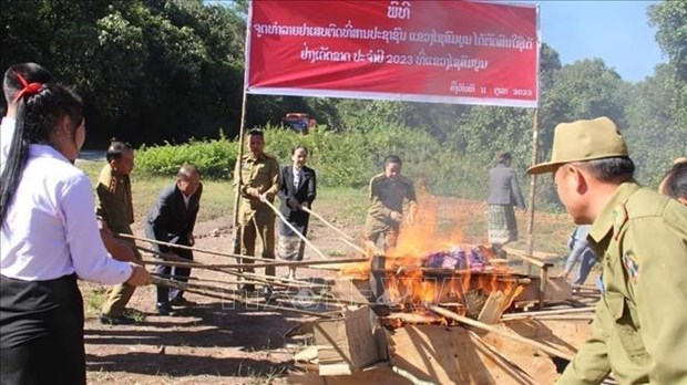 Laos destroys tens of tonnes of drugs