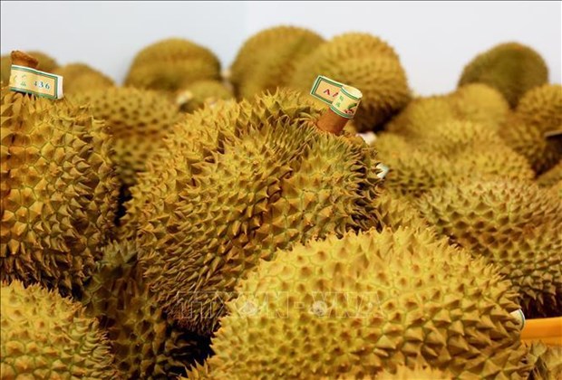 Fruit, vegetable exports predicted to top 5 5 billion USD