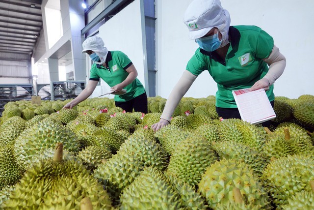 China continues to be Vietnam’s largest trading partner