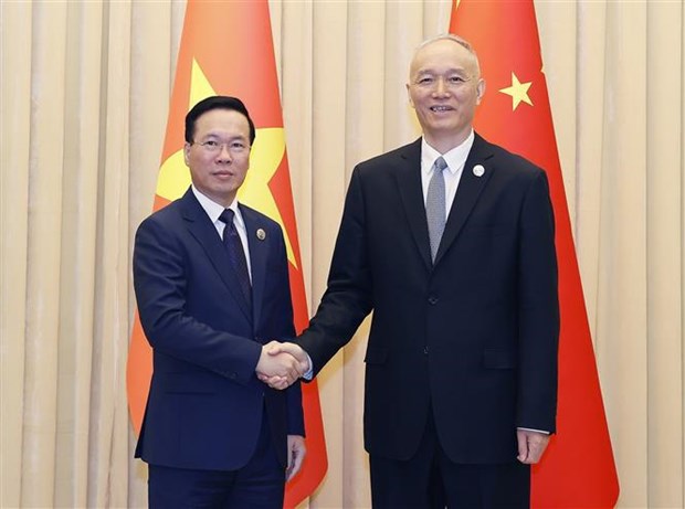 Vietnamese President meets with senior CPC official in Beijing