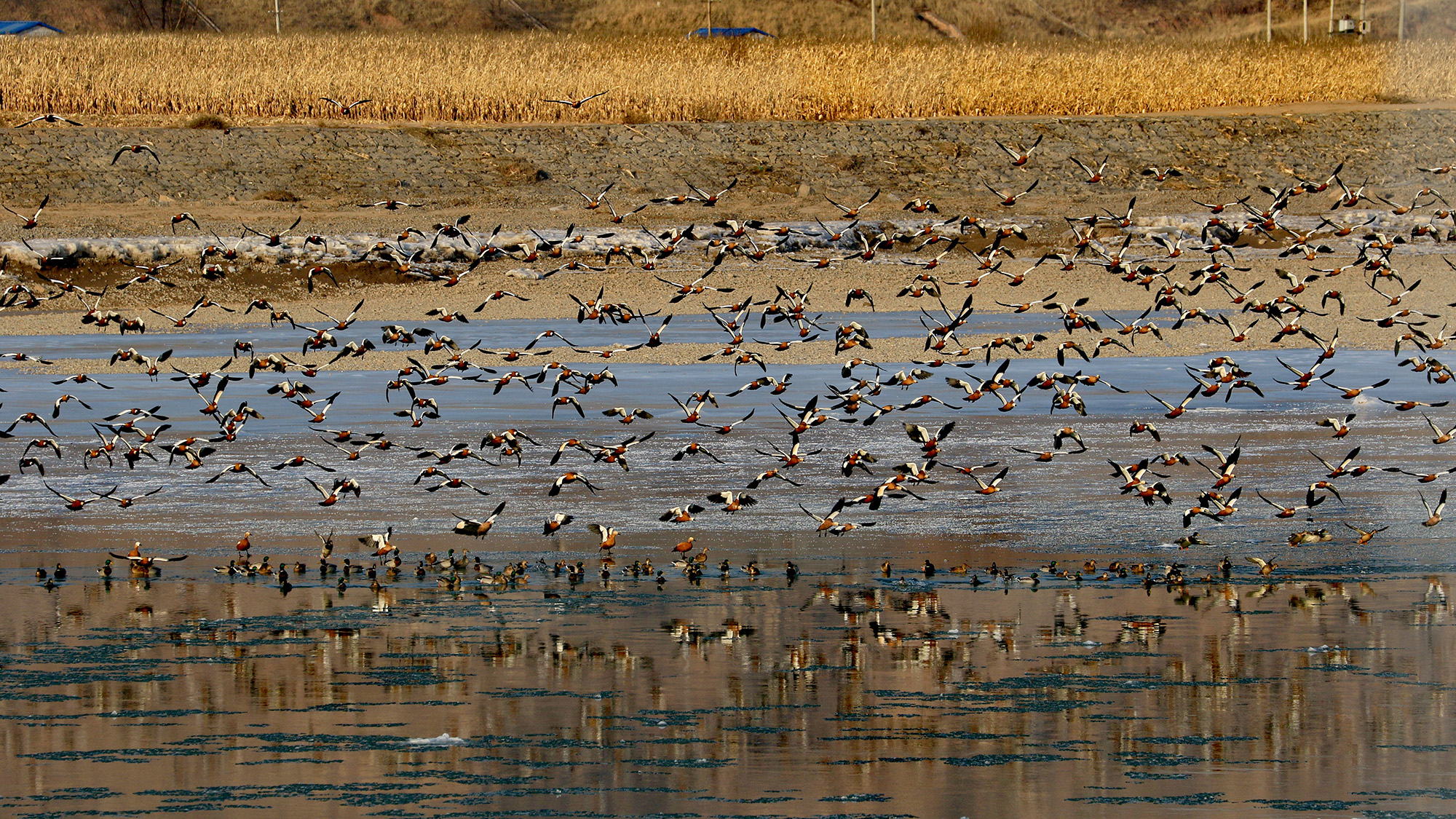 ADB project to promote climate-resilient, inclusive public services in Shanxi, PRC