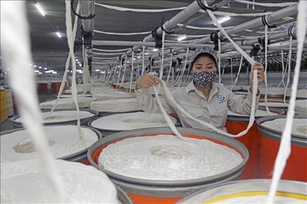 Vietnam s fibre exports foresee positive signals