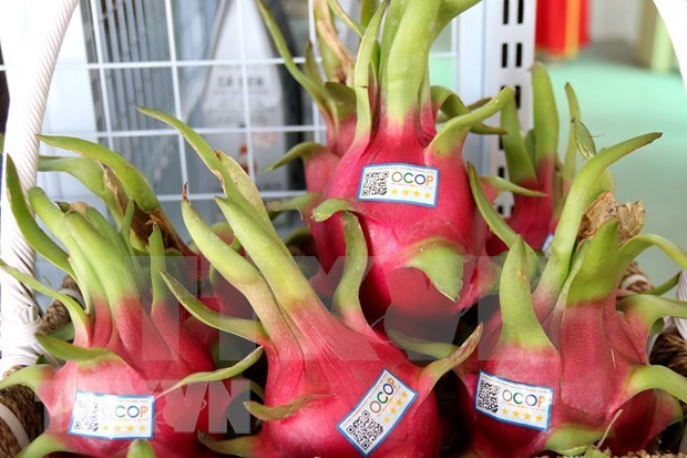 Vietnam s farm produce, processed food introduced in India