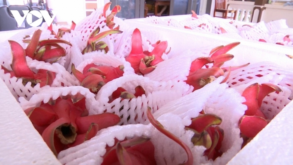 China remains Vietnam’s second largest export market in 10 months