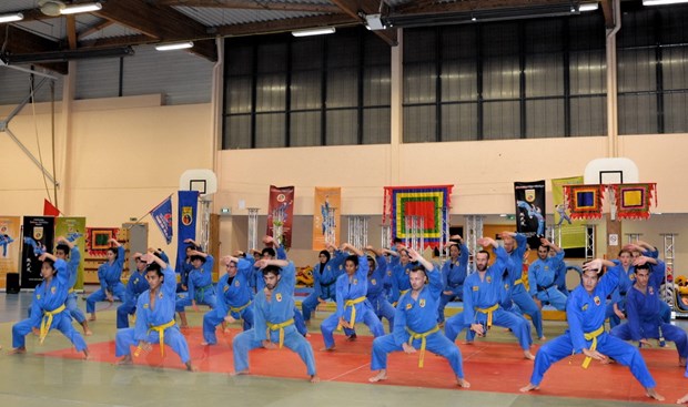 Vietnamese Lion and Dragon dance promoted to international community