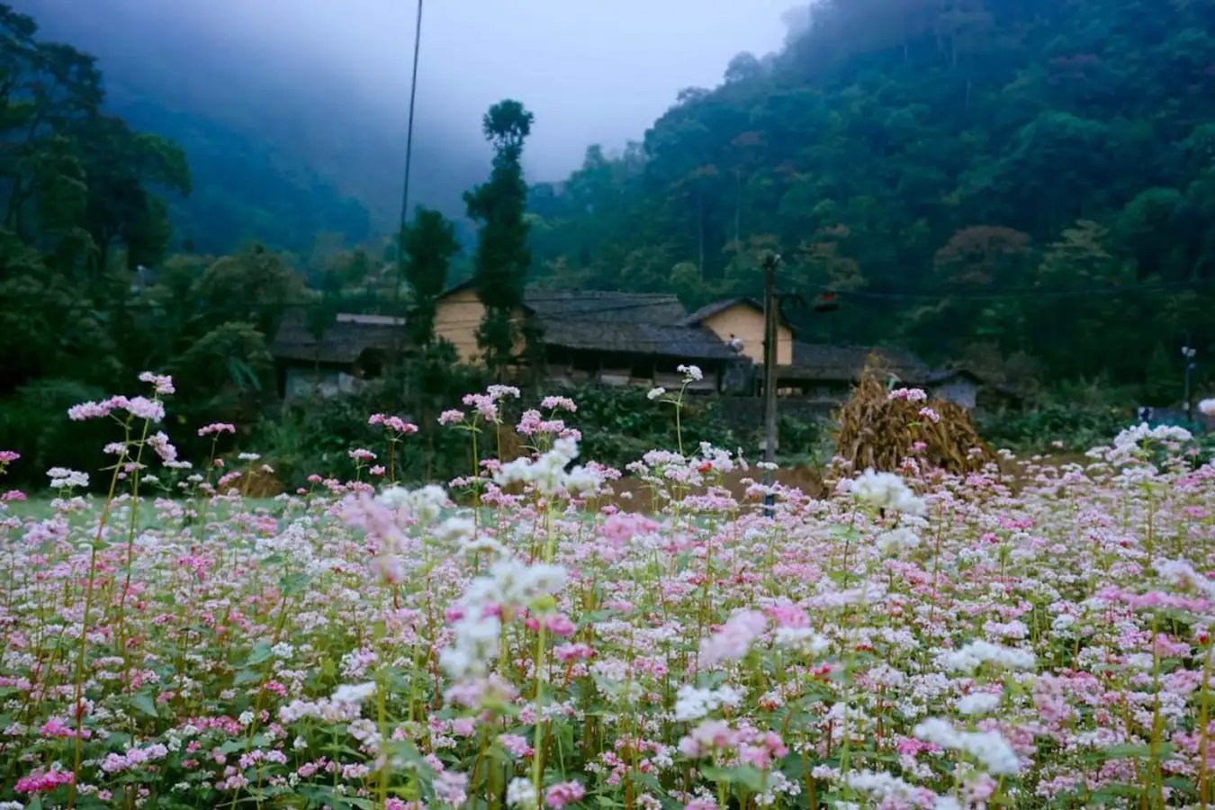 Must-visit year-end tourism destinations