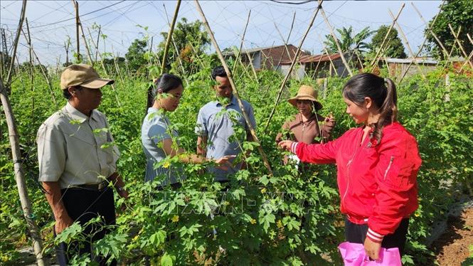 Escaping poverty with policy capital