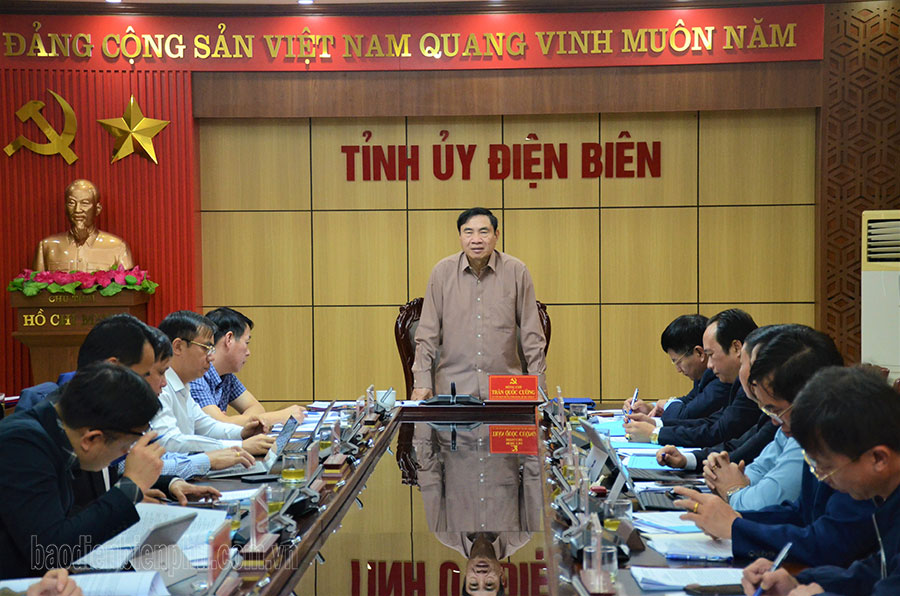 Dien Bien cherry blossom festival to mark Vietnam-Japan ties