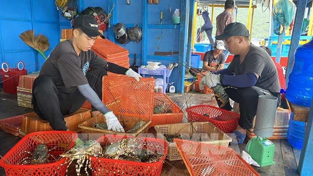 Vietnam exports shrimp to 100 countries, territories Authority