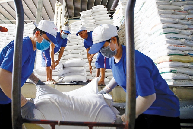 Rice Bright spot for Vietnam’s exports in 2023