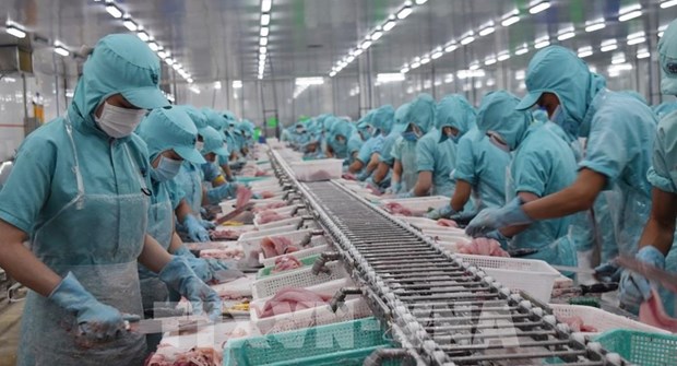 2023 a good year for Vietnam - US relations Ambassador