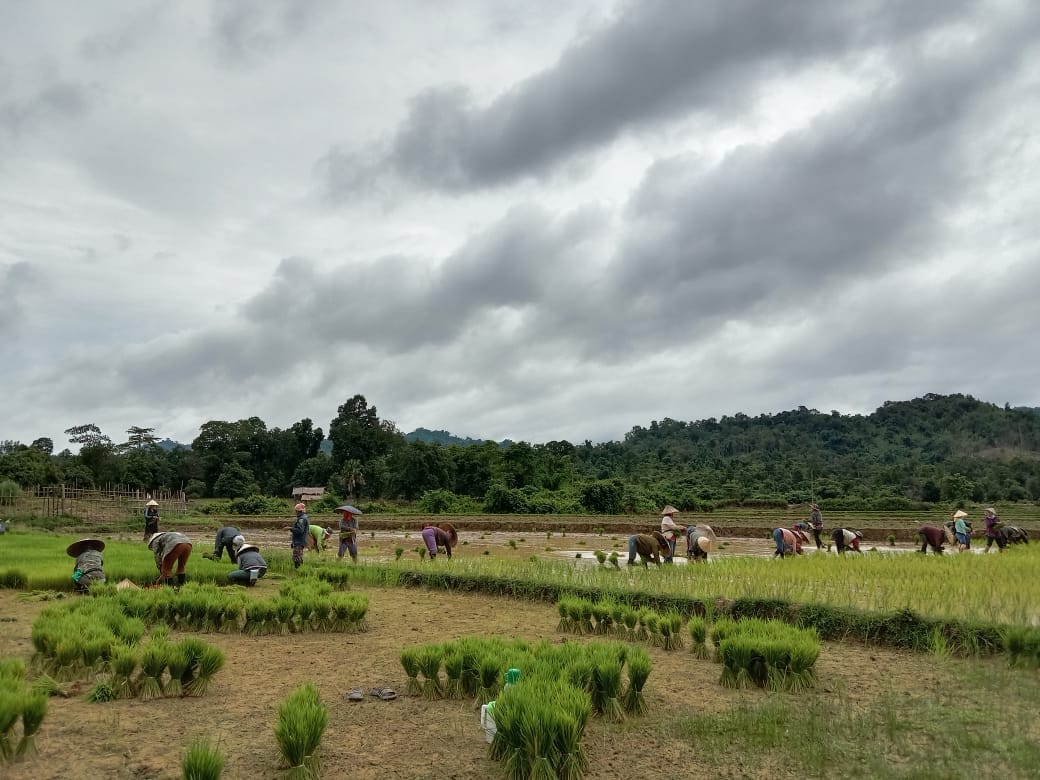ADB supports Lao PDR response to food security challenges