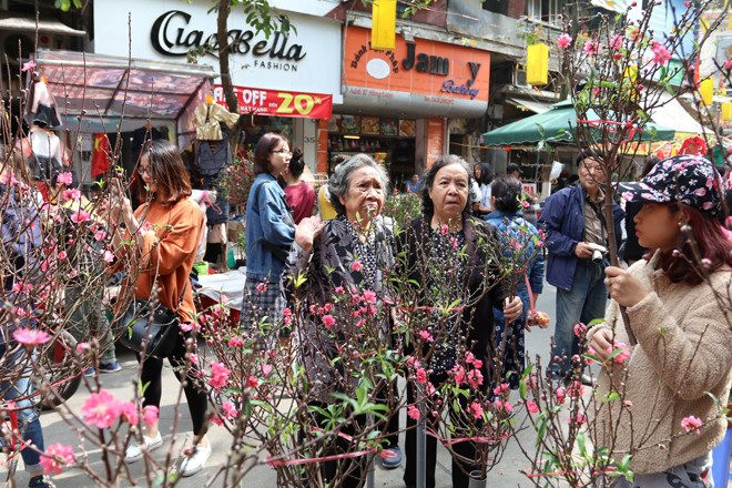 Hanoi organizes 83 flower markets to serve 2024 Tet