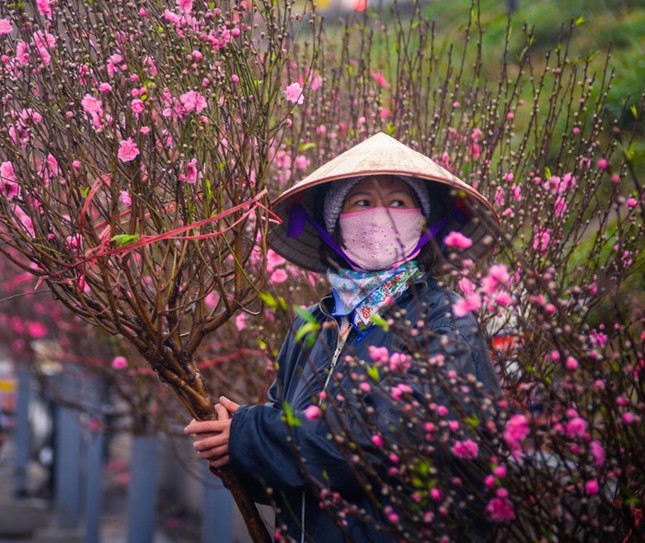 Hanoi to host to 83 flower markets on the occasion of lunar New Year 2024