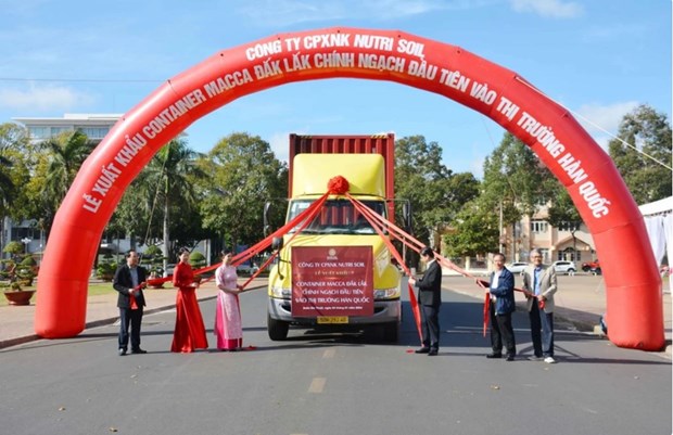 Dak Lak’s first container of macadamia exported to RoK
