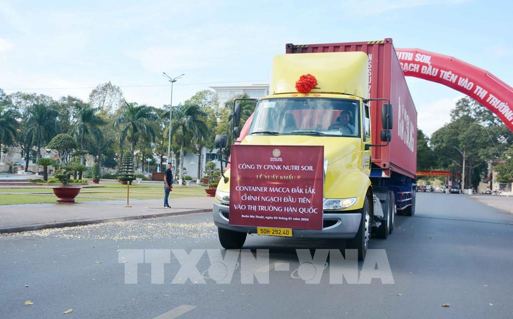 First Dak Lak macadamia container exported to Korean market