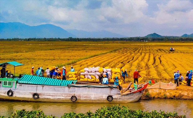 Plan issued to carry out 2021-2030 Mekong Delta planning