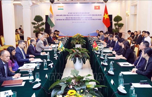 Indian scholar hails Vietnam’s diplomatic achievements