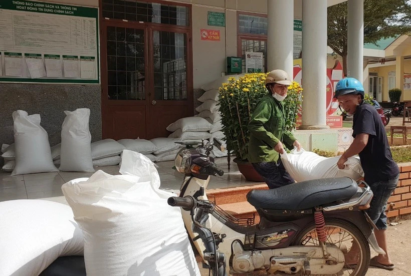 Over 3,545 tons of rice given to Soc Trang province for coming Tet