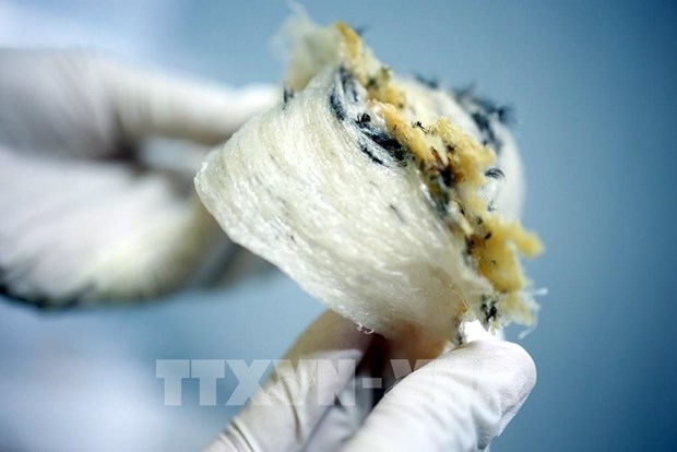 Seven Vietnamese businesses eligible to export bird s nests to China