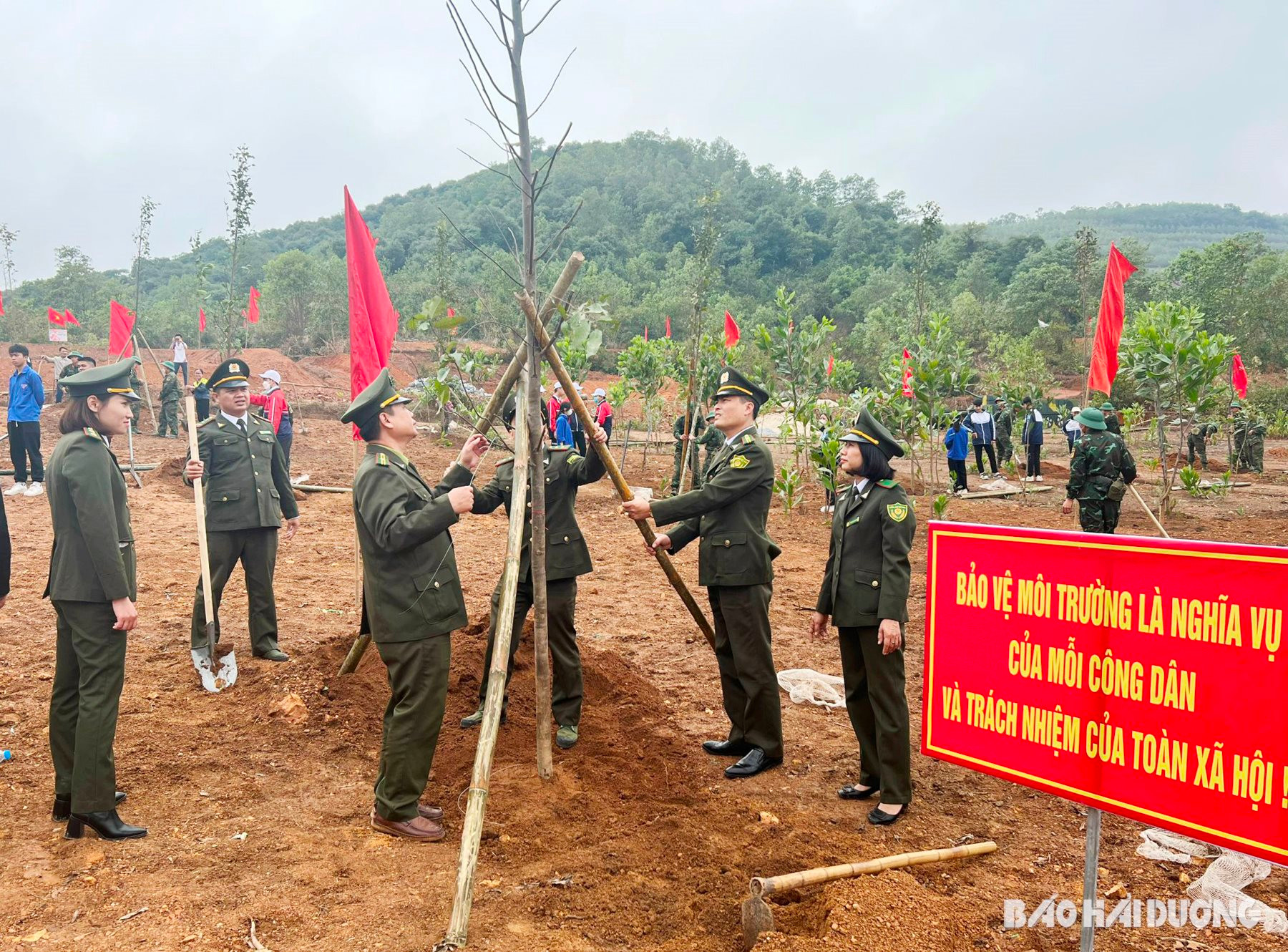Hai Duong to launch Tet Tree Planting Festival from February 19