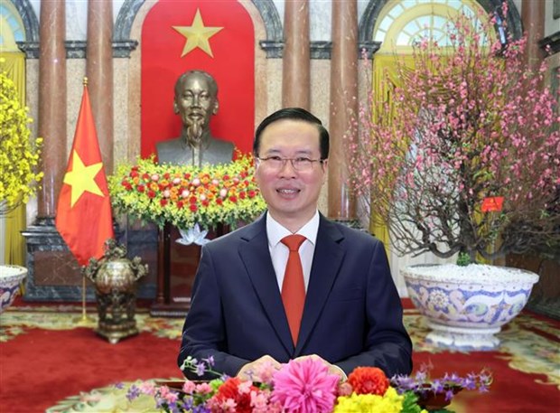 Lunar New Year greeting message by State President Vo Van Thuong