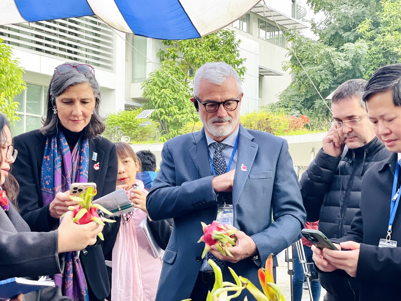 UNDP-MARD drive sustainable dragon fruit farming