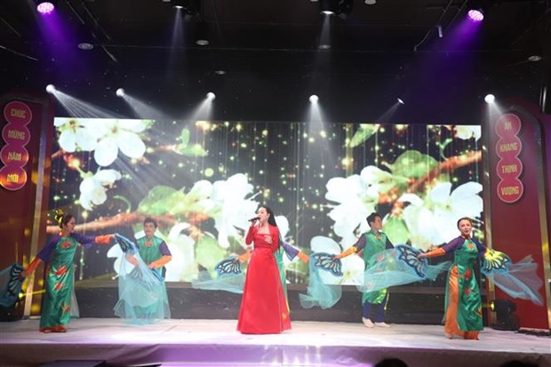 Overseas Vietnamese in Czech Republic celebrate Tet Festival 2024