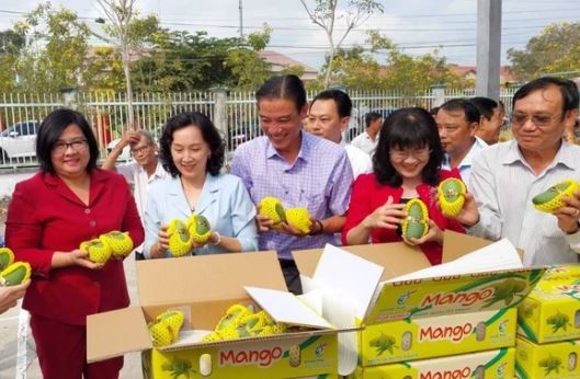 An Giang exports first 13 tons of flat-seeded mangoes to RoK